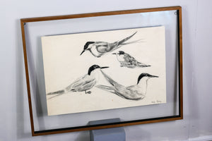 sketch "seagulls" by Leif Rydeng