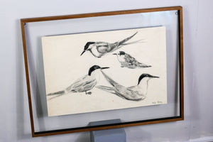 sketch "seagulls" by Leif Rydeng