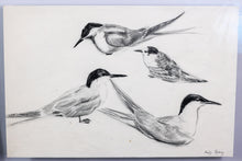 Load image into Gallery viewer, sketch &quot;seagulls&quot; by Leif Rydeng