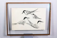 Load image into Gallery viewer, sketch &quot;seagulls&quot; by Leif Rydeng