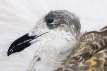 Load image into Gallery viewer, drawing &quot;seagull&quot; by Leif Rydeng